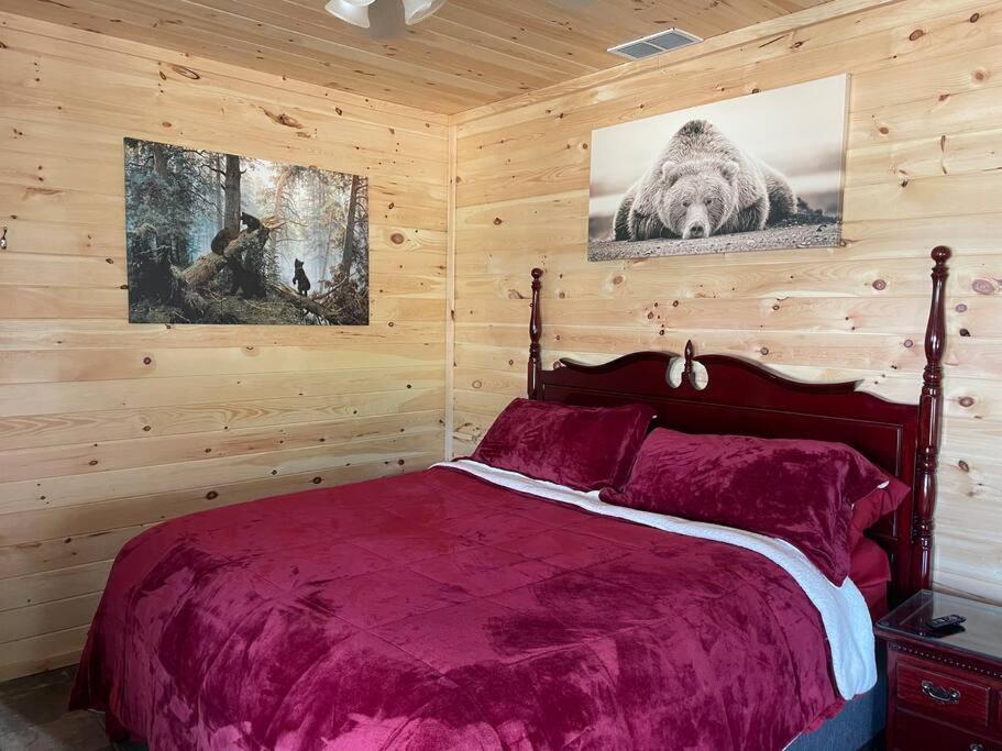 Willa Crestview-Spectacular 3 Bed 3 Bath 5 Min To Slopes Banner Elk Zewnętrze zdjęcie